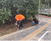 1600422146789693.png image.png